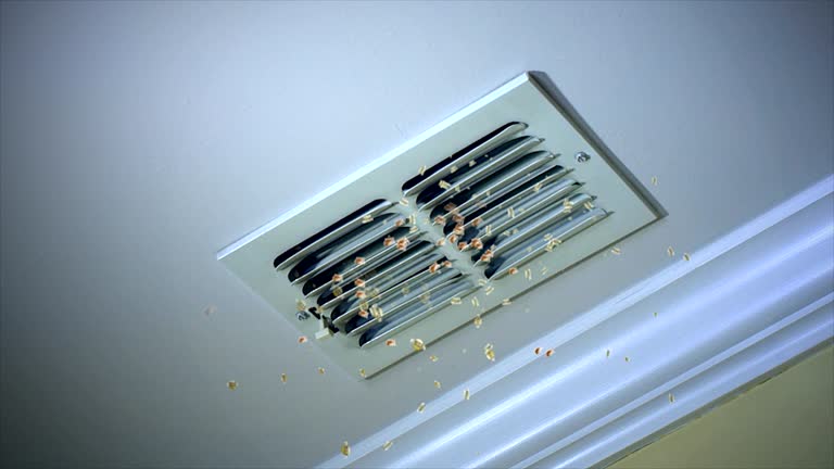 Best Duct Cleaning Specialists  in Seis Lagos, TX