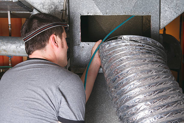 Best Air Duct Mold Removal  in Seis Lagos, TX
